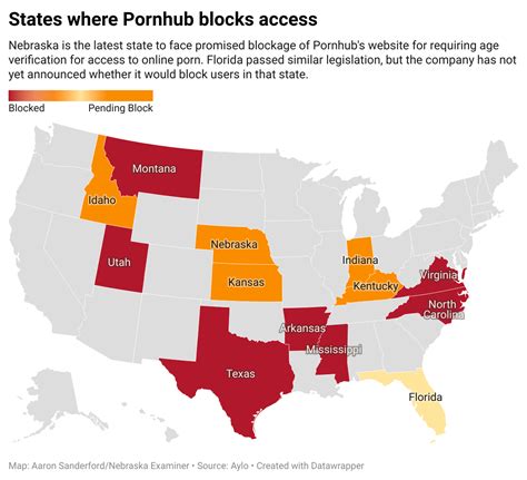 pornhub down|Age Verification in the US